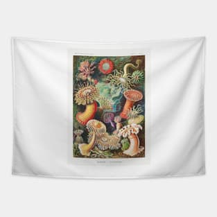 Sea Anemone Tapestry