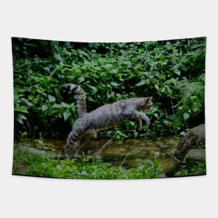 Wild cat jump Tapestry