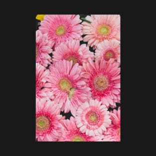 Pink Gerberas T-Shirt