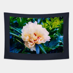 Yellow Peony 6 Tapestry