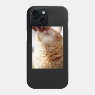 Petting a Fat Orange Cat Phone Case