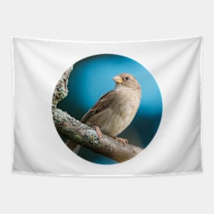 Springtime Sparrow Photograph Tapestry