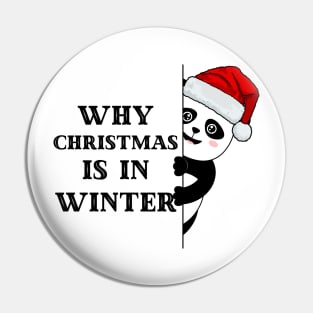 Cute Panda Why Christmas in Winter Pin