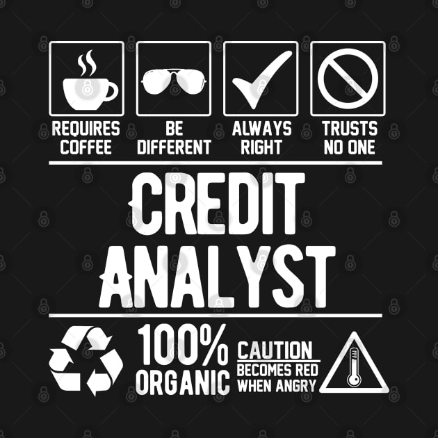 Credit Analyst Job (white) by Graficof