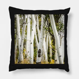 Beautiful pictures - Apen Trees Pillow