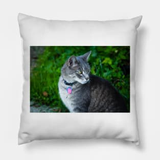 Bethesda cat Pillow