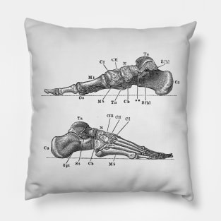 Skeletal Foot Diagram - Dual View - Anatomy Pillow