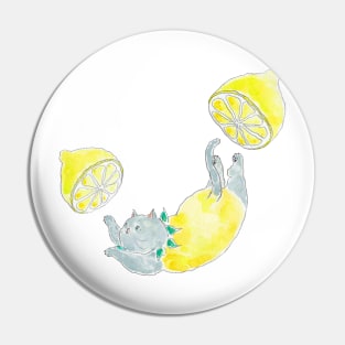 Lemon Cat Pin