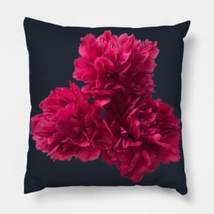 Hot Pink Peony Trio Close-up Pillow