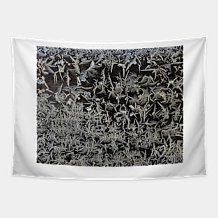 Ice crystals Tapestry