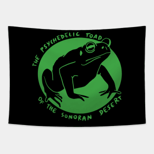 Bufo alvarius - The Psychedelic Toad of the Sonoran Desert Tapestry