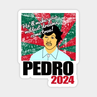 Vote For Pedro Magnet