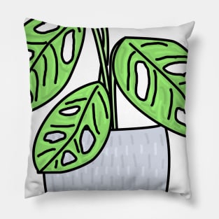 Gatenplant Monstera Obliqua Monkey Leaf Color Pillow