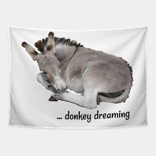 Grey Donkey Dreaming Tapestry