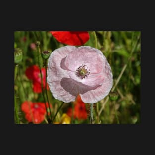 Pink Poppy T-Shirt