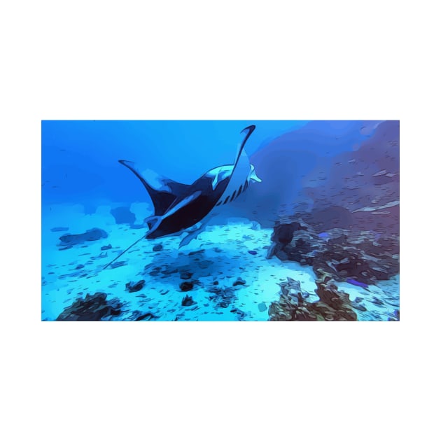 Manta ray in Bora Bora by WelshDesigns