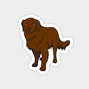 Golden Retriever dark golden Magnet