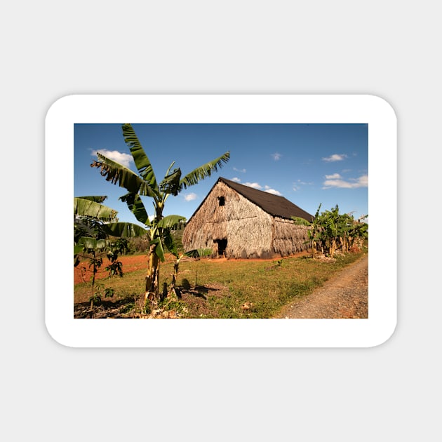 Tobacco house near Vinales in Cuba Magnet by Offiinhoki