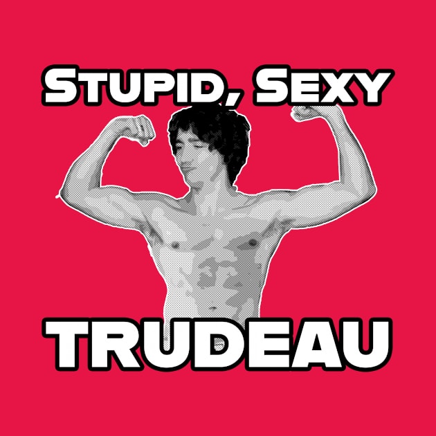 Stupid, Sexy Trudeau by Canada Is Boring Podcast