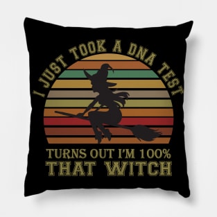 I Just Took A DNA Test Turns Out I'm 100% That Witch Pillow