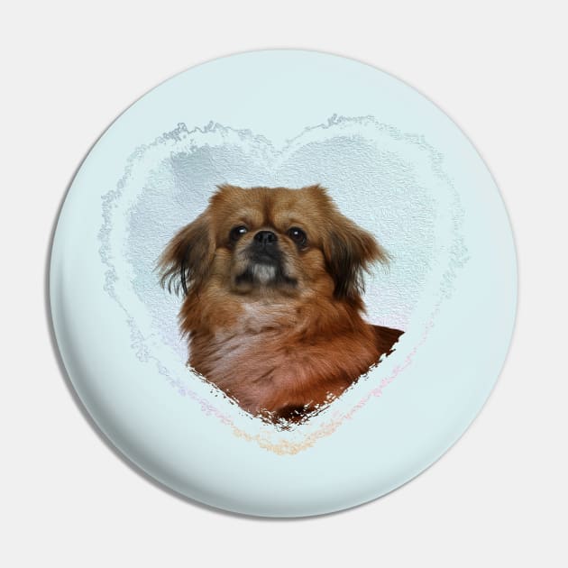 Cute Pekingese dog Pin by Nartissima