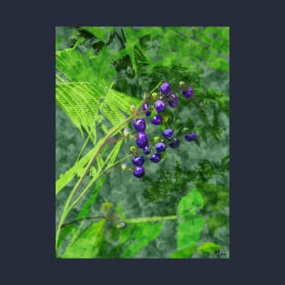 Hawaiian Dianella, 'Uki'uki T-Shirt