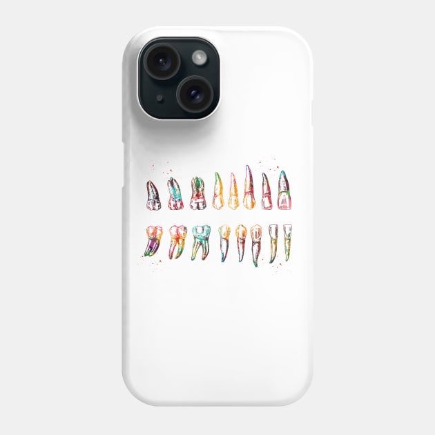 Teeth Diagram Phone Case by erzebeth