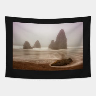 Fogged Out at Rodeo Beach Tapestry