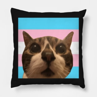 acrh says transgender rights Pillow