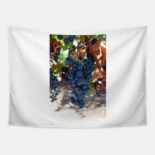 Vineyard Tapestry