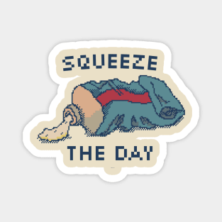 Squeeze The Day - 8Bit Pixel Art Magnet