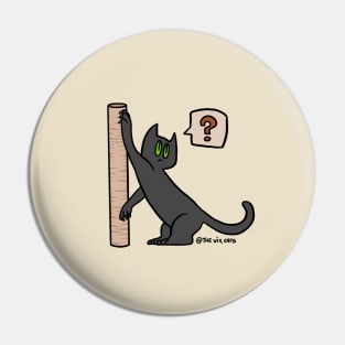 The scratching post dilema Pin