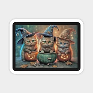 Halloween Cat Witches Greeting Card Magnet