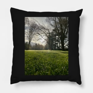 Spring morning in goathland Pillow