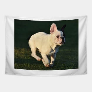 French bulldog Tapestry