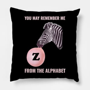 🦓 You May Remember Me from the Alphabet, Z for Zebra, Learning Pillow