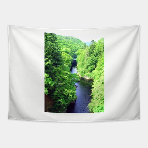 River Garry II Tapestry by tomg