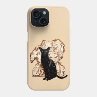 Pharaoh's Companion Phone Case