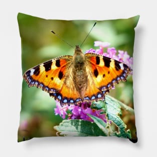 Butterfly Pillow