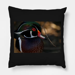 Wood Duck - Male Close Up Pillow