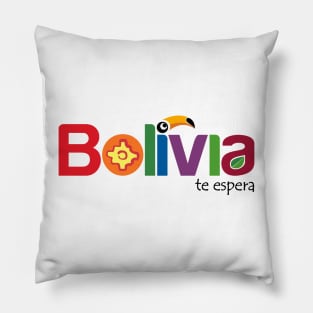 Bolivia te espera Pillow