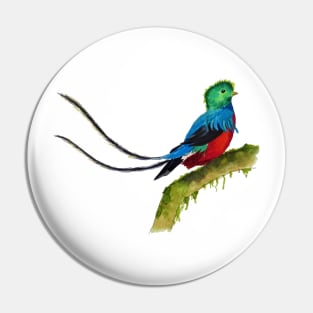 Quetzal in Watercolor Pin