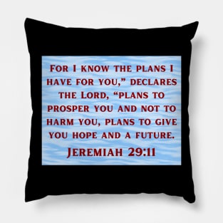 Bible Verse Jeremiah 29:11 Pillow