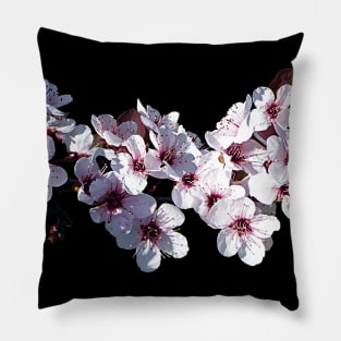 Cherry Blossoms - Sprig of Cherry Blossoms Pillow