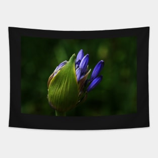 Newborn Lily of the Nile Flower Tapestry