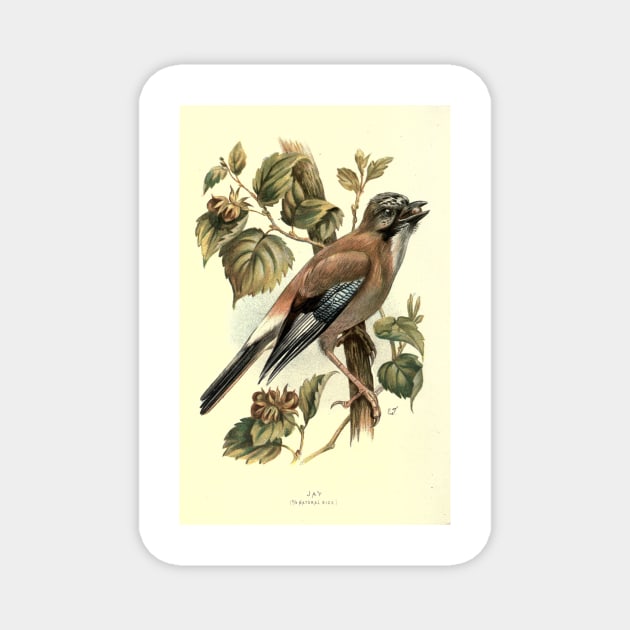 Hay Magnet by Jeramy's Store 1