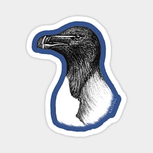 Razorbill (Alca torda) - blue Magnet