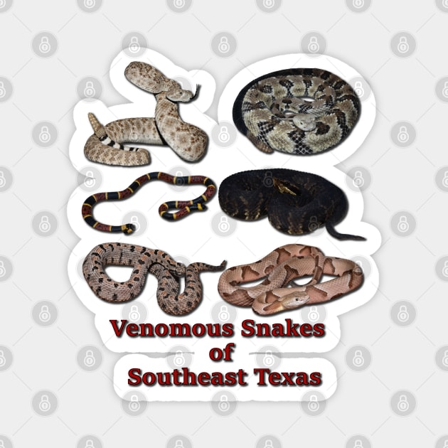 Venomous Snakes of Southeast Texas Magnet by Paul Prints