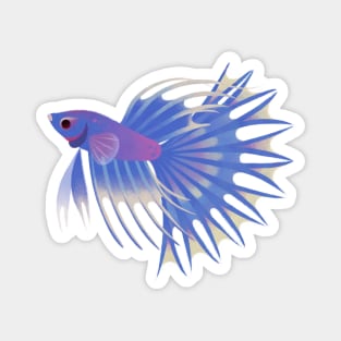 Crowntail betta Magnet