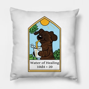 Water of Healing Pillow